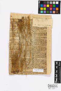 SW_BNB_s3010-16810_IMG-0000000001