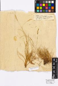 SW_BNB_s3010-16811_IMG-0000000001