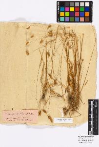 SW_BNB_s3010-16812_IMG-0000000001