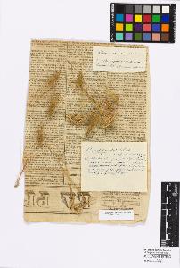 SW_BNB_s3010-16813_IMG-0000000001