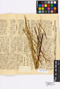 SW_BNB_s3010-16814_IMG-0000000001