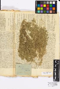 SW_BNB_s3010-16815_IMG-0000000001