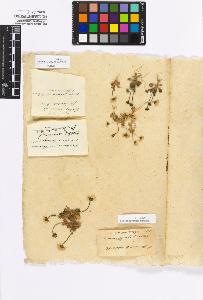 SW_BNB_s3010-16816_IMG-0000000001