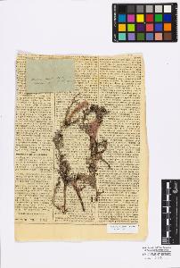 SW_BNB_s3010-16817_IMG-0000000001