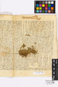 SW_BNB_s3010-16818_IMG-0000000001