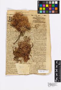 SW_BNB_s3010-16819_IMG-0000000001