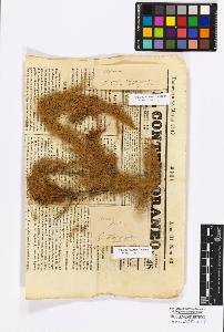 SW_BNB_s3010-16820_IMG-0000000001