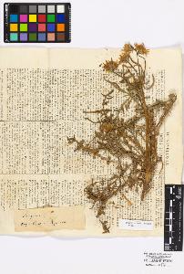 SW_BNB_s3010-16822_IMG-0000000001