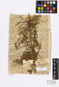 SW_BNB_s3010-16823_IMG-0000000001