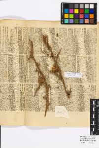 SW_BNB_s3010-16824_IMG-0000000001