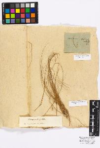 SW_BNB_s3010-16825_IMG-0000000001