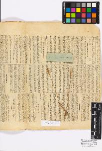 SW_BNB_s3010-16826_IMG-0000000001