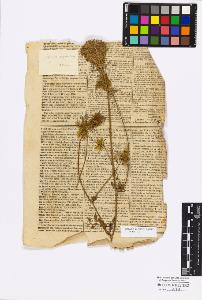 SW_BNB_s3010-16828_IMG-0000000001