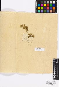 SW_BNB_s3010-16829_IMG-0000000001