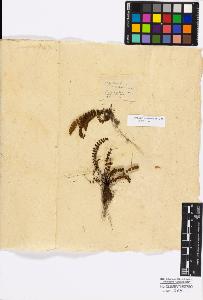 SW_BNB_s3010-16830_IMG-0000000001