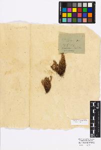 SW_BNB_s3010-16831_IMG-0000000001