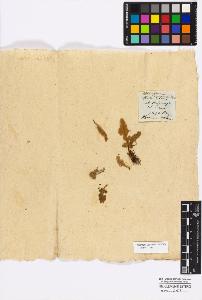 SW_BNB_s3010-16832_IMG-0000000001