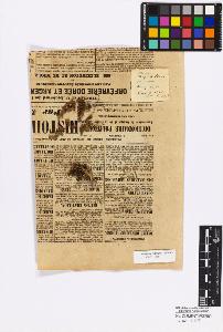 SW_BNB_s3010-16834_IMG-0000000001