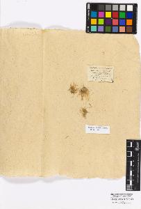 SW_BNB_s3010-16835_IMG-0000000001