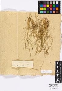 SW_BNB_s3010-16836_IMG-0000000001