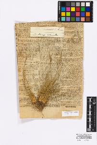 SW_BNB_s3010-16837_IMG-0000000001