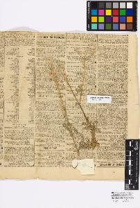 SW_BNB_s3010-16838_IMG-0000000001