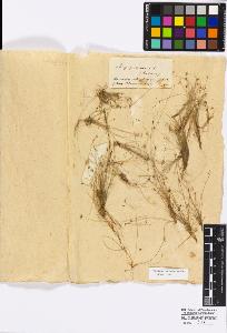 SW_BNB_s3010-16839_IMG-0000000001