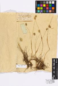 SW_BNB_s3010-16840_IMG-0000000001