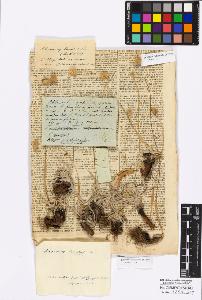 SW_BNB_s3010-16842_IMG-0000000001