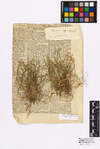 SW_BNB_s3010-16843_IMG-0000000001