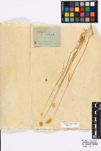 SW_BNB_s3010-16844_IMG-0000000001