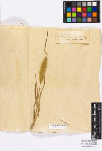 SW_BNB_s3010-16845_IMG-0000000001