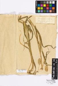 SW_BNB_s3010-16846_IMG-0000000001