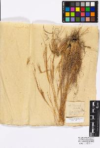 SW_BNB_s3010-16847_IMG-0000000001