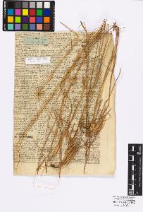 SW_BNB_s3010-16848_IMG-0000000001