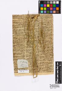 SW_BNB_s3010-16849_IMG-0000000001