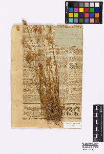 SW_BNB_s3010-16850_IMG-0000000001