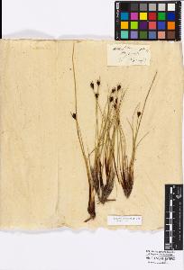 SW_BNB_s3010-16851_IMG-0000000001