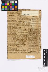 SW_BNB_s3010-16852_IMG-0000000001