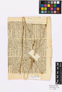 SW_BNB_s3010-16853_IMG-0000000001