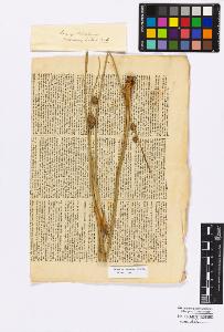 SW_BNB_s3010-16854_IMG-0000000001