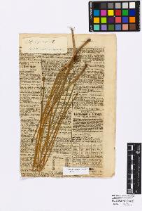 SW_BNB_s3010-16855_IMG-0000000001