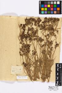 SW_BNB_s3010-16856_IMG-0000000001