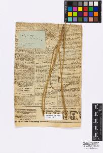 SW_BNB_s3010-16857_IMG-0000000001