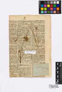 SW_BNB_s3010-16858_IMG-0000000001