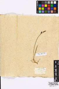 SW_BNB_s3010-16859_IMG-0000000001