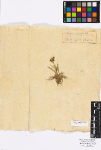 SW_BNB_s3010-16860_IMG-0000000001