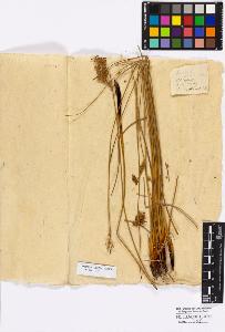 SW_BNB_s3010-16861_IMG-0000000001