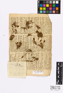 SW_BNB_s3010-16862_IMG-0000000001