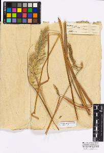 SW_BNB_s3010-16863_IMG-0000000001